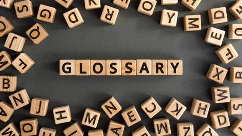 Glossary and Terms